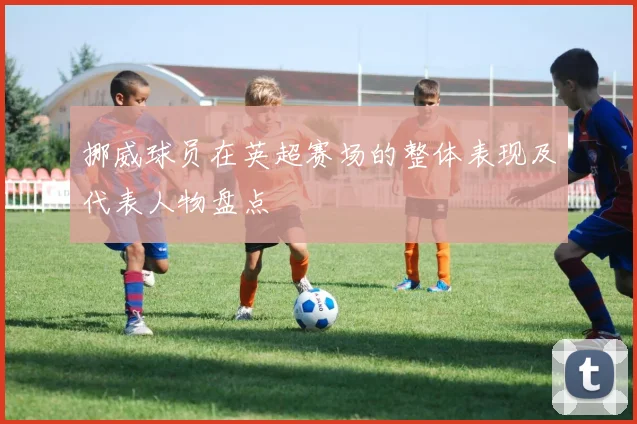 挪威球员在英超赛场的整体表现及代表人物盘点