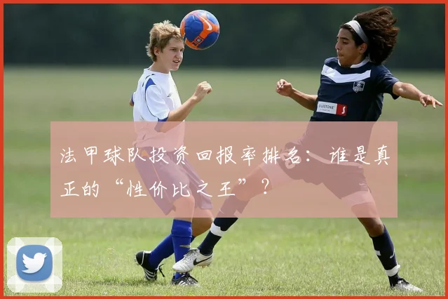 法甲球队投资回报率排名：谁是真正的“性价比之王”？