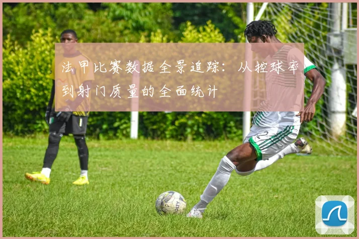 法甲比赛数据全景追踪：从控球率到射门质量的全面统计