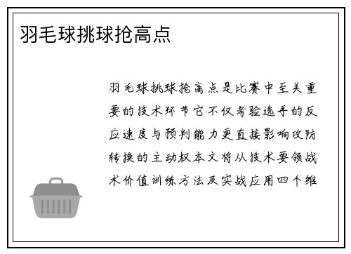 羽毛球挑球抢高点